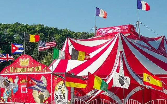 Цирк с дикими животными запретят в Париже в 2020 году