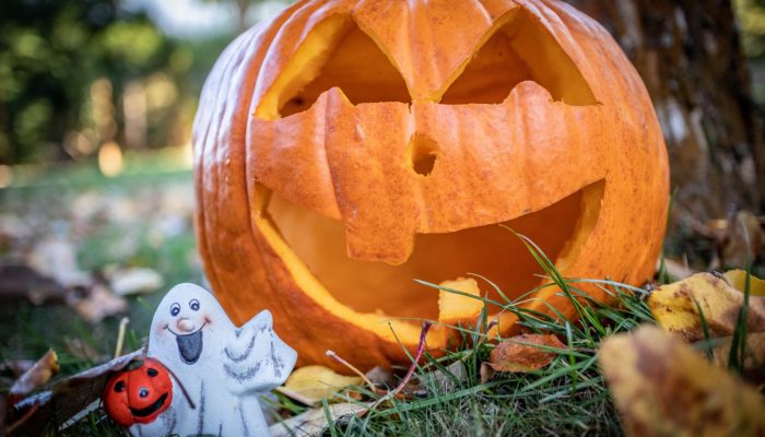 hellouin franczii istoriya francziya russkom yazyke 1603313963 Как отмечают хэллоуин во франции